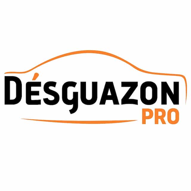 Logo Désguazon PRO
